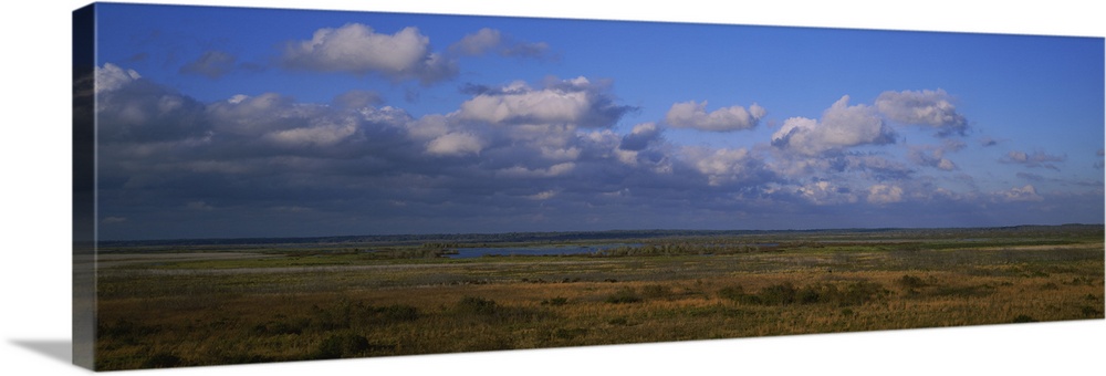 Clouds over a landscape, Paynes Prairie Preserve State Park, Gainesville, Florida