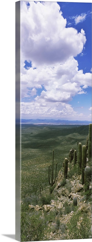 Clouds over a landscape, Tucson Mountain Park, Tucson, Arizona