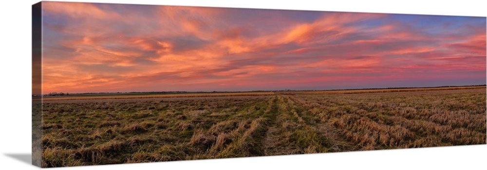 Clouds over landscape at sunset, prairie ridge state natural area, marion county, illinois, USA.