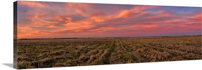 Clouds Over Landscape At Sunset, Prairie Ridge State Natural Area, Illinois, USA