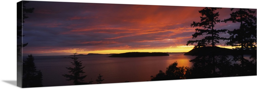 Large, landscape photograph of vibrant clouds in the sky as the sun sets over the Rosario Strait, large pine trees are sil...