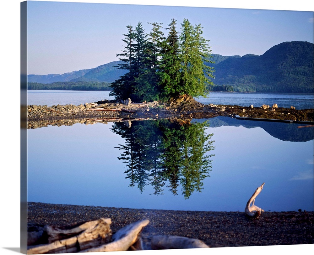 Coastal scene with pine trees and water reflection, Inside Passage