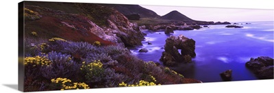 Coastline, Garrapata State Park, Monterey, California
