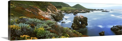 Coastline, Garrapata State Park, Monterey, California