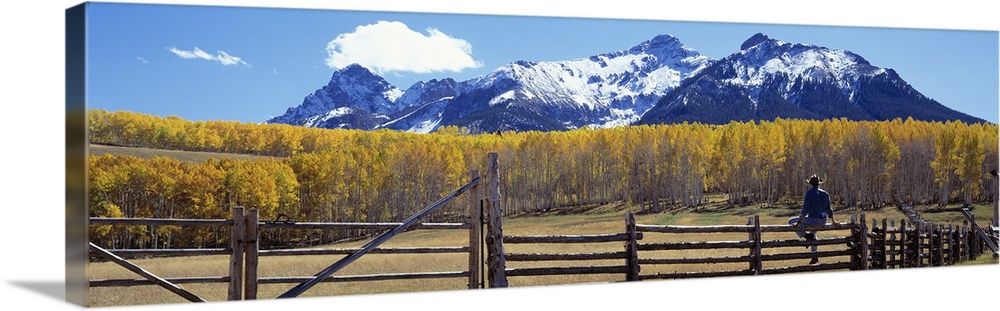 Large panoramic image of a cowboy sitting a top a pasture fence looking towards the fall colored trees and mountains.