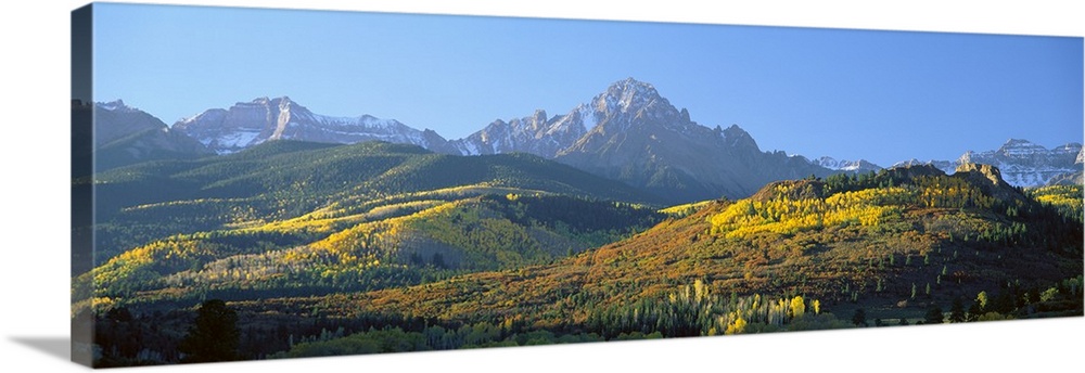 Panoramic photo on canvas of autumn colored trees on rolling hills in front of rugged mountains.