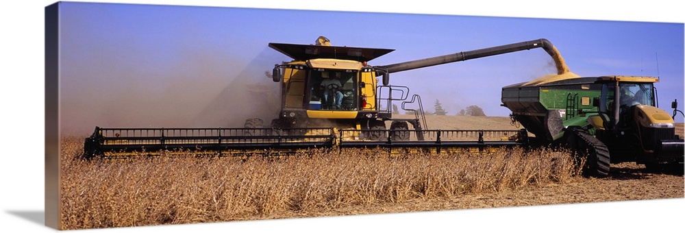 Combine harvesting soybeans in a field, Minnesota