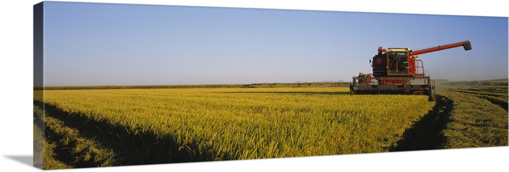 Combine in a rice field, Glenn County, California
