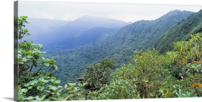 Continental Divide Monteverde Costa Rica