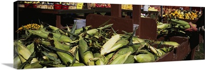 Corncobs in a market stall, Grand Rapids, Kent County, Michigan