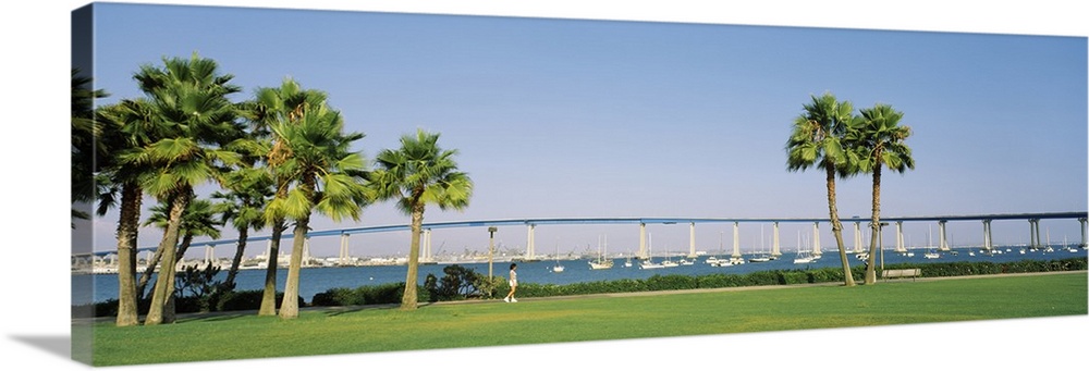 This wide angle picture was taken of the Coronado Bay Bridge from across the water while standing on land.