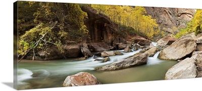 Cottonwood trees and rocks along Virgin River, Zion National Park, Springdale, Utah