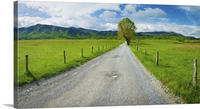 Country gravel road, Great Smoky Mountains National Park, Tennessee