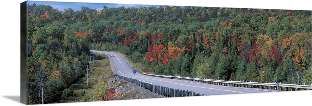 Country road, Ontario, Canada