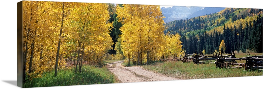 Country road passing through mountain, Ridgway, Ouray County, Colorado, USA