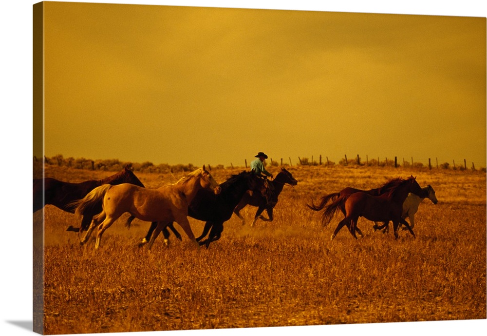 This large piece is a photograph taken of a farmer herding many of its horses in a dry dusty field with a yellow sky in th...