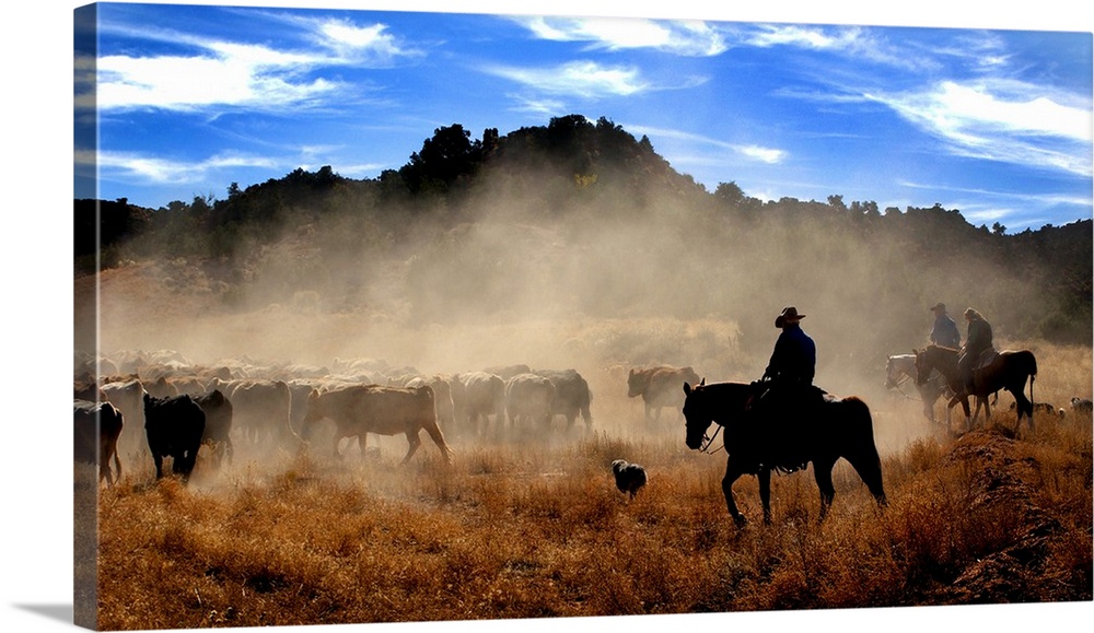 Cowboys driving cattle, Moab, Utah, USA