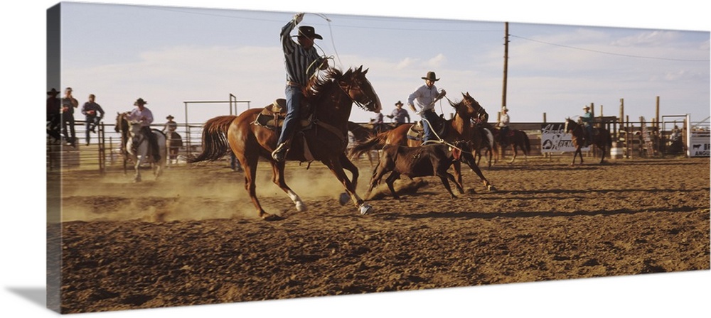 Panoramic photo on canvas of men riding horses trying to rope a baby cow.