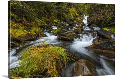 Creek cascading over rocks and moss, Canmore Creek, Canmore, Alberta, Canada