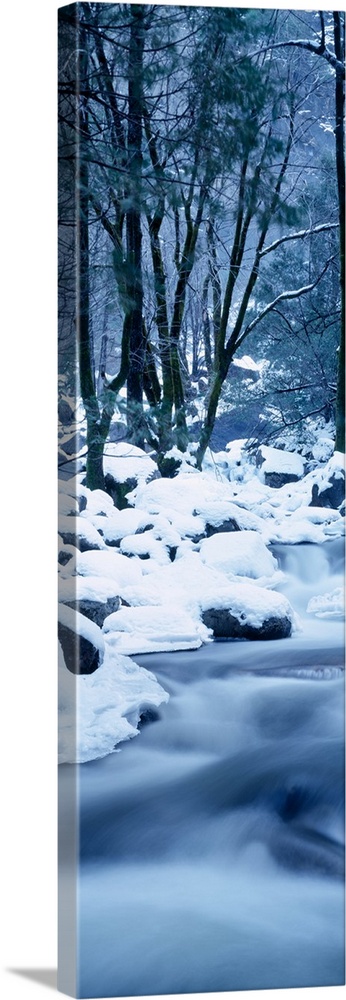 Creek flowing through forest in winter, Yosemite National Park, California, USA