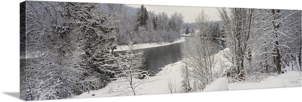 River and surrounding trees blanketed in snow from a recent snowfall, giving the landscape a quiet, dreary feel.