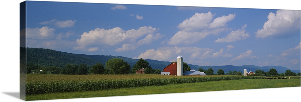 Cultivated field in front of a barn, Kishacoquillas Valley, Pennsylvania
