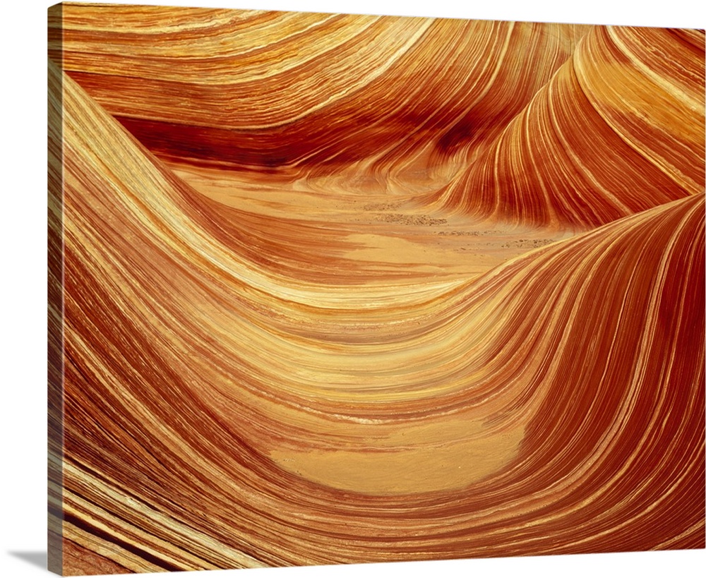 Large photograph of curved rock formations in warm tones.