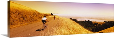 Cyclists on a road, Mt Tamalpais, Marin County, California
