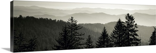 Dawn Great Smoky Mountains National Park Cherokee NC | Great Big Canvas