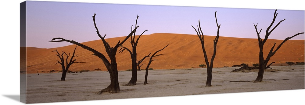 Dead trees in a desert at sunrise Dead Vlei Sossusvlei Namib Naukluft National Park Namibia