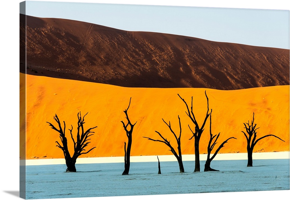Dead trees in a desert, Dead Vlei, Sossusvlei, Namib Desert, Namib-Naukluft National Park, Namibia