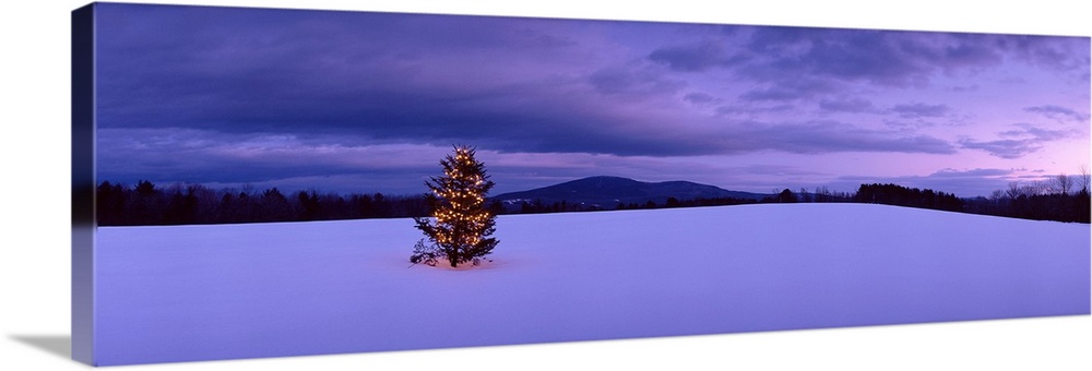 This panoramic photograph captures the most festive tree in New England with the sunset reflecting of the winter clouds in...
