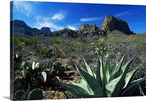 Desert Landscape image thumbnail