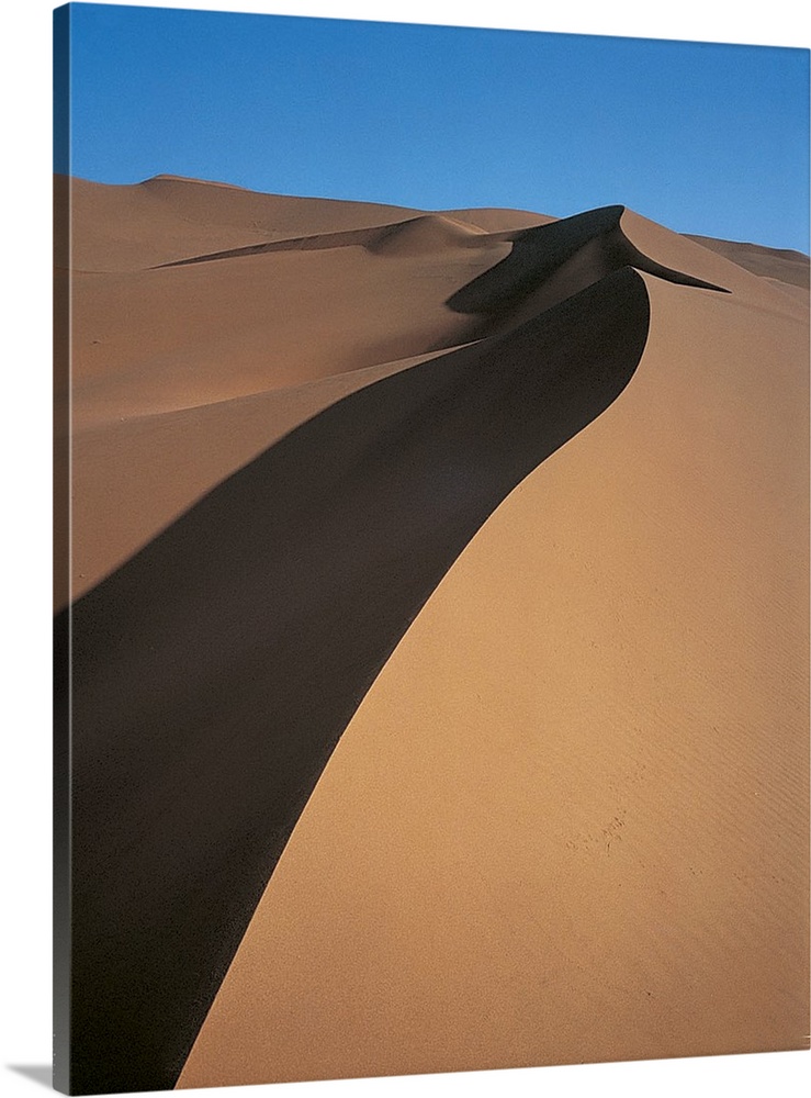 Desert Namibia Africa