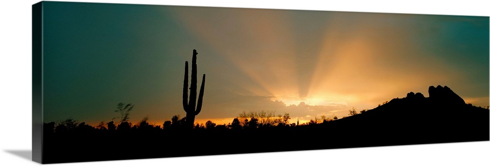 The sun's rays break through a cloud over a desert in Phoenix, Arizona (AZ) as a lone cactus looks on.