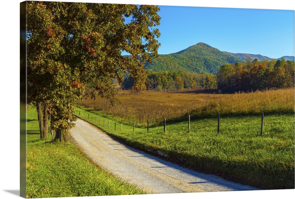 Dirt road passing through a field, Hyatt Lane, Cades Cove, Great Smoky Mountains National Park, Tennessee, USA.