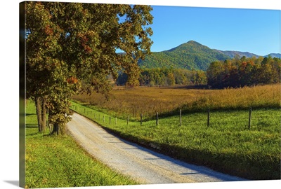Dirt road passing through a field, Great Smoky Mountains National Park