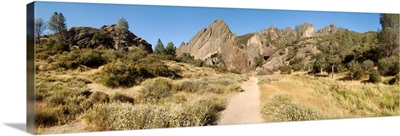 Dirt road passing through a field, Pinnacles National Monument, Salinas Valley, California