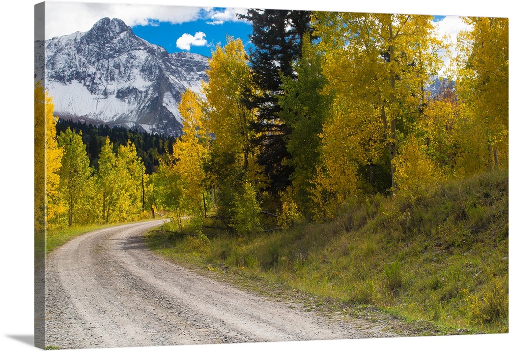 Dirt road passing through a forest, Maroon Bells, Maroon Creek Valley, Aspen, Pitkin County, Colorado, USA
