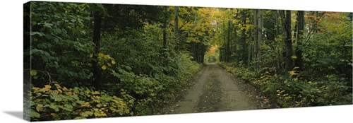 Dirt road passing through a forest, Old Lanesbara Road, Peacham ...