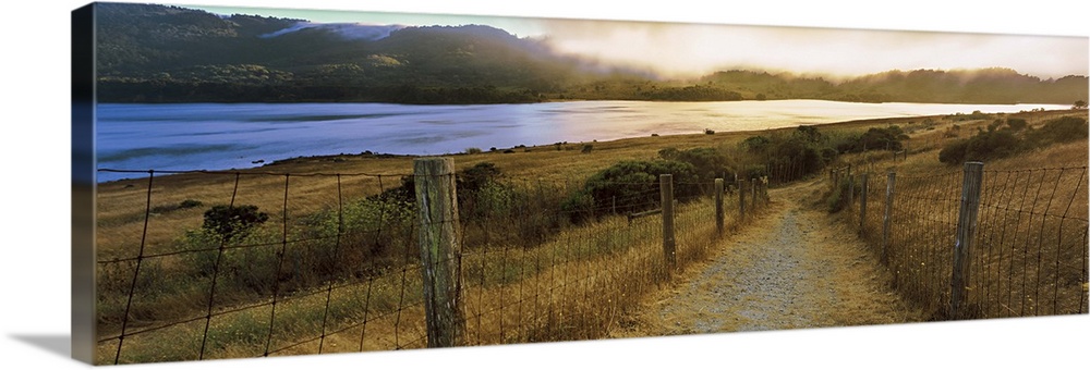 Dirt road passing through a landscape, Crystal Springs Reservoir, Woodside, California