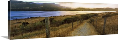 Dirt road passing through a landscape, Crystal Springs Reservoir, Woodside, California