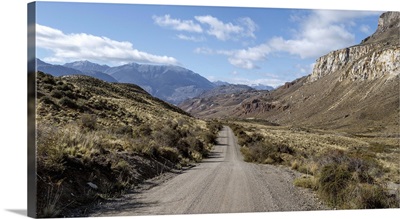 Dirt road passing through a landscape, Patagonia National Park, Patagonia, Chile