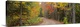 image thumbnail of Dirt road passing through autumn forest, Keweenaw Peninsula, Michigan,