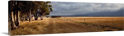 Dirt road passing through field with mountain range in the background, South Africa