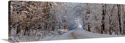 Dirt road passing through snow covered forest, East Hill, Quebec, Canada