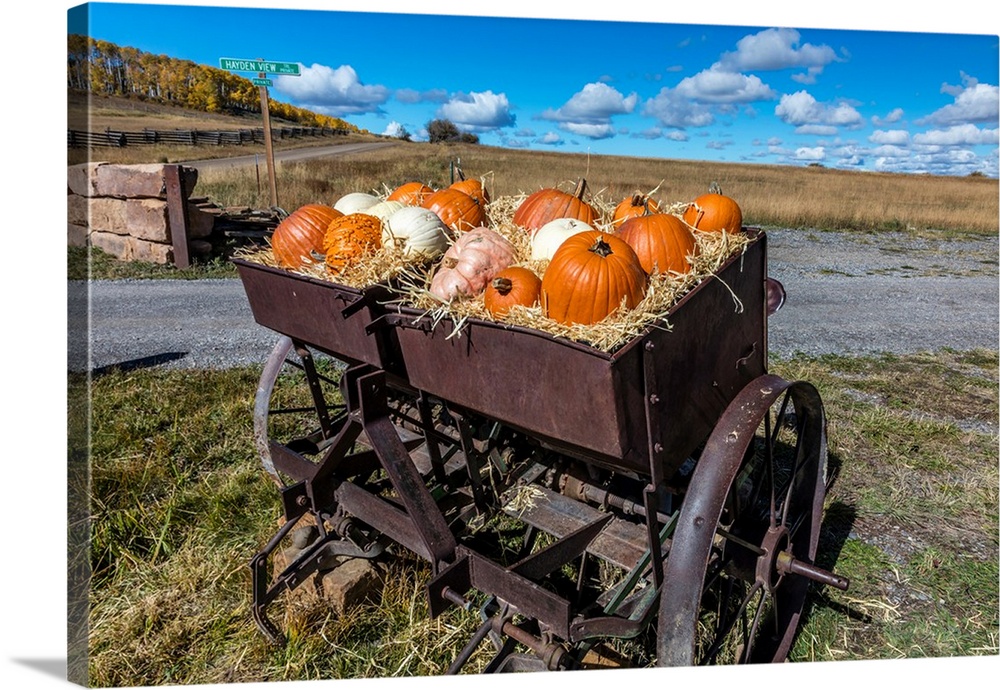 Display of Halloween Pumpkins, Hastings Mesa, Colorado - near Ridgway