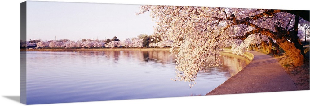 District Of Columbia Washington DC Tidal Basin Wall Art Canvas 