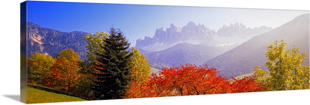 Panoramic photograph of autumn tree line with mountains in distance.