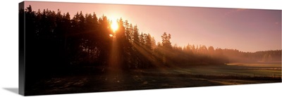 Early Morning Sun over Forest and Fields Sweden
